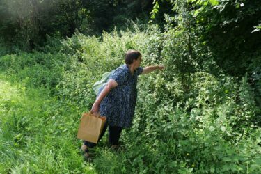 01 kraeuterwanderung 5 375x250 - Kräuterwanderung "Sommerkräuter"