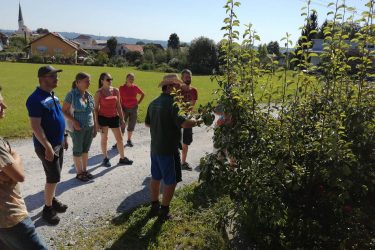 04 Baumschnittkurs 375x250 - Obstbaumschnittkurs