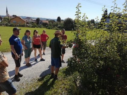 Obstbaumschnittkurs 04 Baumschnittkurs 420x315 - Obstbaumschnittkurs