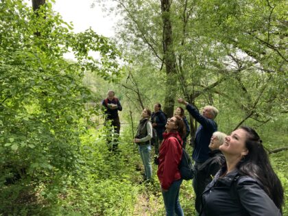 04 vogelkundliche Exkursion 420x315 - Vogelkundliche Wanderung am Wildoner Schlossberg