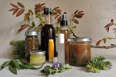 06 Wald und Wiesenapotheke 375x250 - Hausapotheke für den Winter
