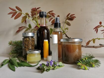 06 Wald und Wiesenapotheke 420x315 - Hausapotheke f&uuml;r den Winter