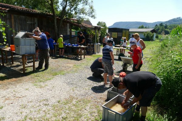 08 Fossilien suchen 600x400 - Veranstaltungen Juli-Oktober 2020