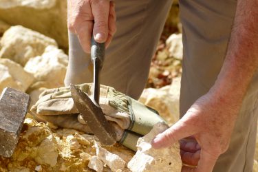 09 Fossilien 375x250 - Fossilien suchen und präparieren
