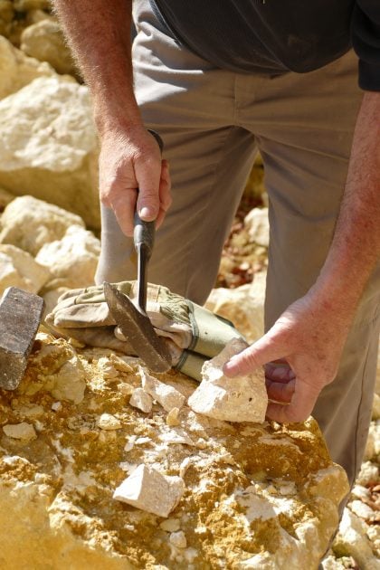 Fossilien suchen und präparieren 09 Fossilien 420x630 - Fossilien suchen und präparieren