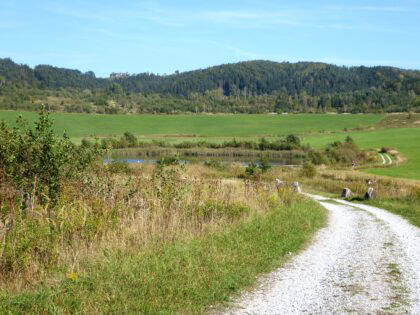 Baernbach Roya Payandeh 420x315 - Wanderung zum ehem. Braunkohlebergbaugebiet B&auml;rnbach!