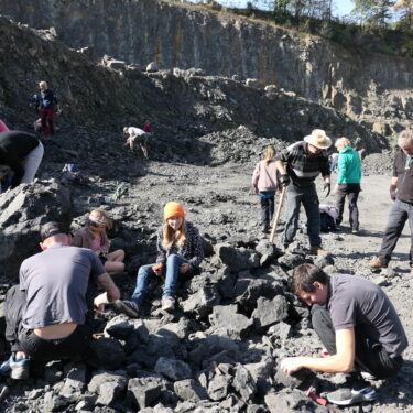 Fossilien 1 375x375 - Sommerhits f&uuml;r Kids 2026