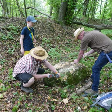 Fossilien suchen 375x375 - Sommerhits für Kids 2022