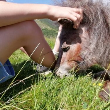 Foto Blumenwiesn Pony mit Kind 375x375 - Sommerhits f&uuml;r Kids 2026