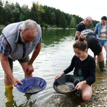 Goldwaschen 375x375 - Sommerhits f&uuml;r Kids 2026