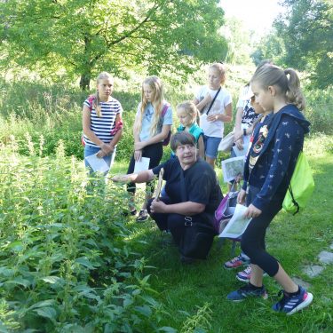 Sommerhits für Kids 2022 Kreative WS 2021 02 375x375 - Sommerhits für Kids 2022