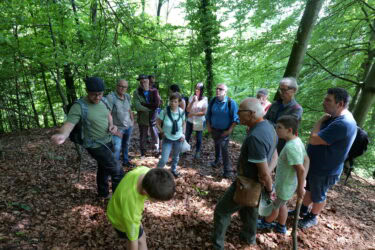 Naturwunder 2 375x250 - Versteckte Naturwunder vor der Haustür