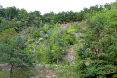 Steinbruch in Stattegg Payandeh 375x250 - Exkursion zum Brutgebiet des Uhus in Stattegg