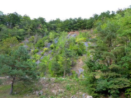 Steinbruch in Stattegg Payandeh 420x315 - Exkursion zum Brutgebiet des Uhus in Stattegg