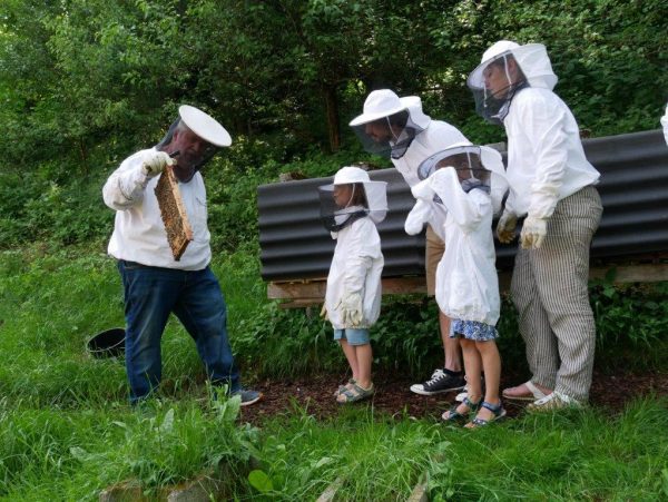 Tag des offenen Bienenstocks2 600x451 - Veranstaltungen Mai-November 2021