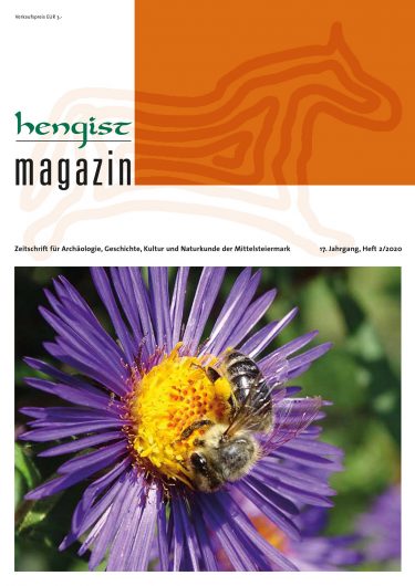 Titel HM2 20 375x530 - Hengist-Magazin 2/20