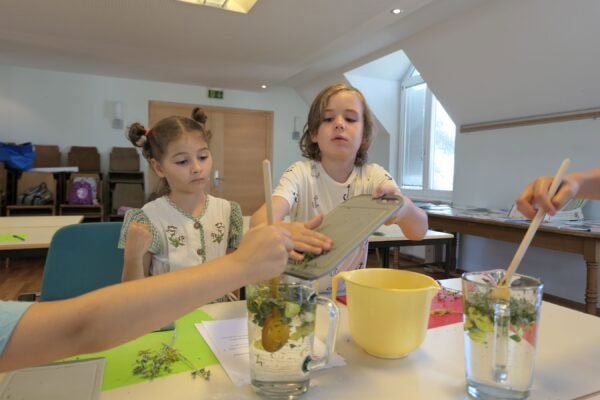 WS25 Kraeuter01 600x400 - Kreative Workshops 2025