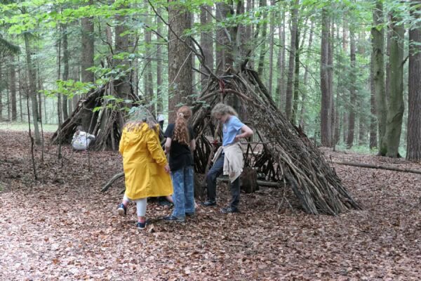 Wald 1 2025 10 600x400 - Waldtage 1/2025