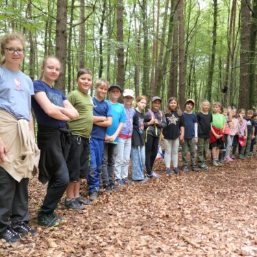 Wald 1 2025 14 375x375 - Sommerhits für Kids 2025