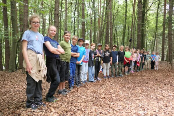 Wald 1 2025 14 600x400 - Waldtage 1/2025