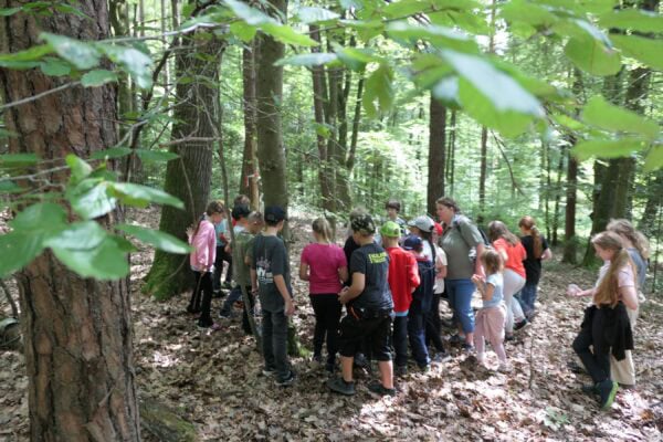 Wald 1 2025 8 600x400 - Waldtage 1/2025
