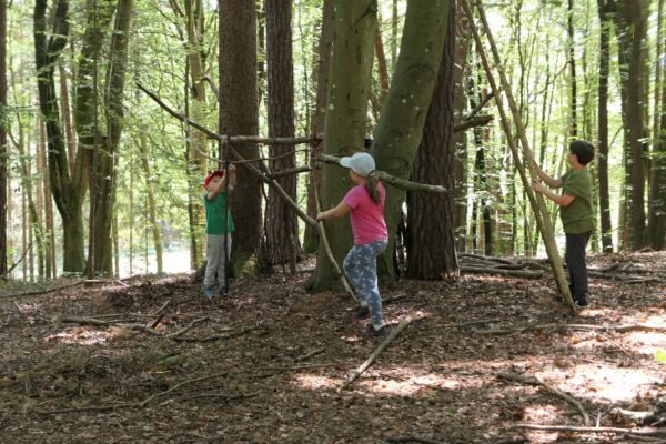 Wald 1 2026 01 600x400 - Waldtage 1/2026