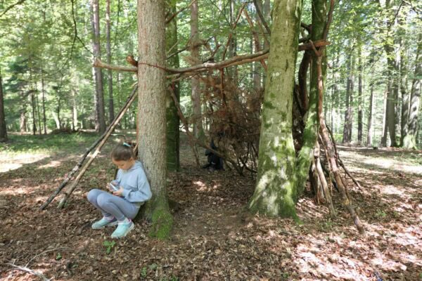 Wald 1 2026 03 600x400 - Waldtage 1/2026
