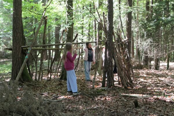 Wald 1 2026 04 600x400 - Waldtage 1/2026