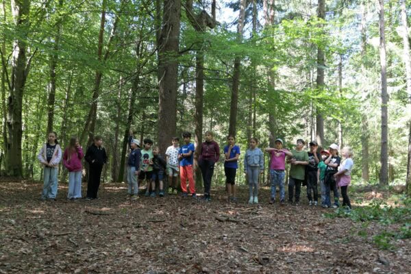 Wald 1 2026 05 600x400 - Waldtage 1/2026