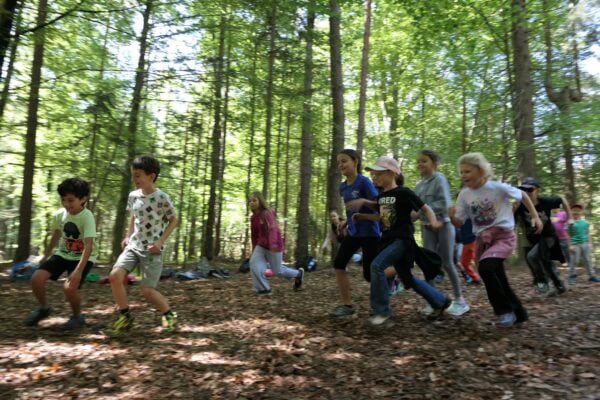 Wald 1 2026 06 600x400 - Waldtage 1/2026