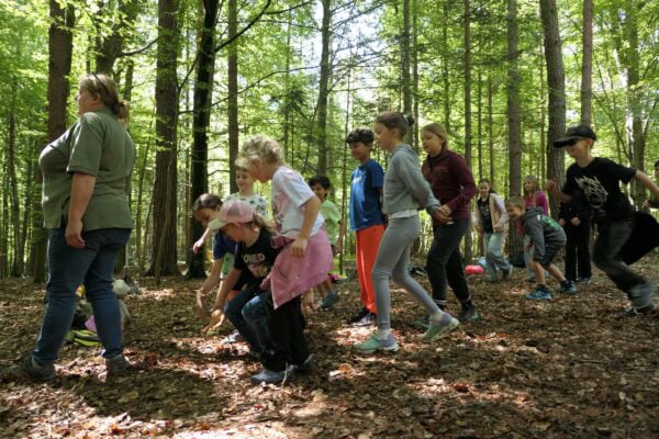 Wald 1 2026 07 600x400 - Waldtage 1/2026
