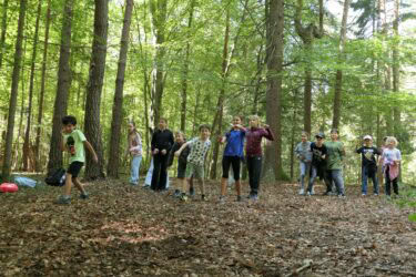Wald 1 2026 08 375x250 - Waldtage 1/2026