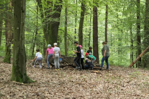 Wald 1 2026 13 600x400 - Waldtage 1/2026