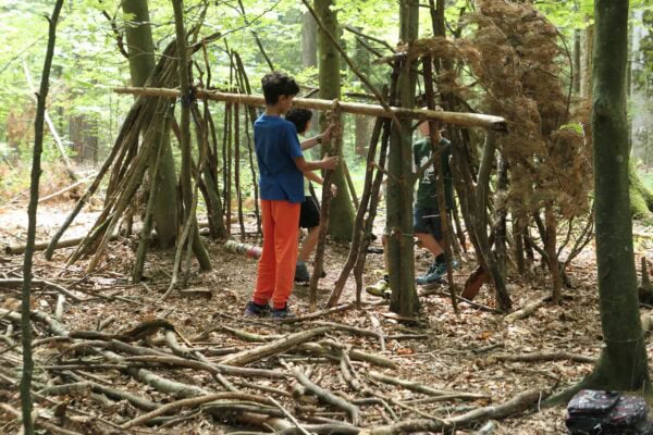 Wald 1 2026 23 600x400 - Waldtage 1/2026