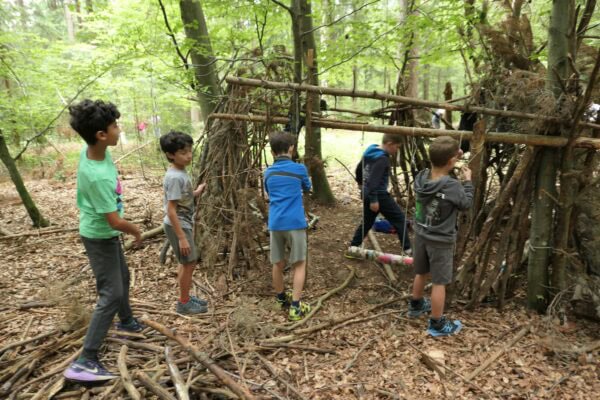 Wald 1 2026 26 600x400 - Waldtage 1/2026