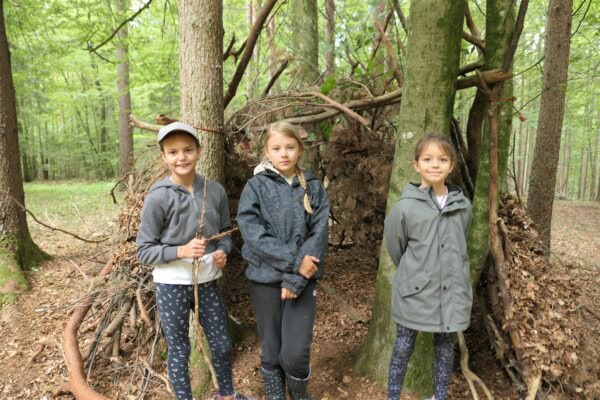 Wald 1 2026 27 600x400 - Waldtage 1/2026