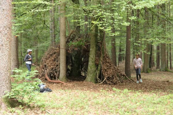 Wald 1 2026 29 600x400 - Waldtage 1/2026
