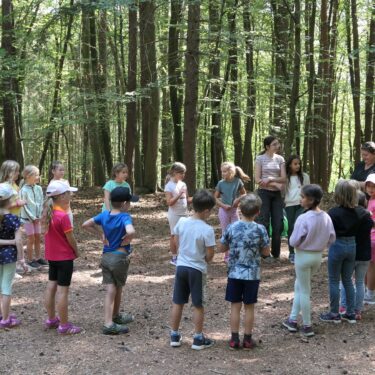 Wald 2 2025 02 375x375 - Sommerhits für Kids 2025