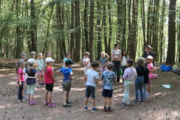 Wald 2 2025 02 600x400 - Waldtage 2/2025