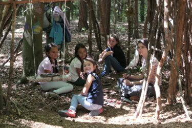 Sommerhits für Kids 2026 Wald 2 2025 06 375x250 - Sommerhits für Kids 2026