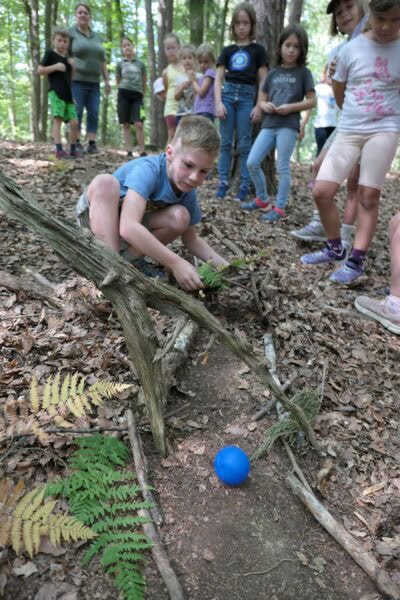 Wald 2 2025 20 400x600 - Waldtage 2/2025