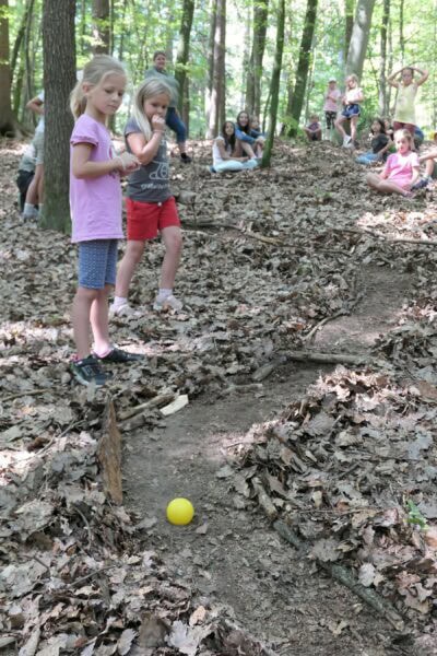 Wald 2 2025 26 400x600 - Waldtage 2/2025