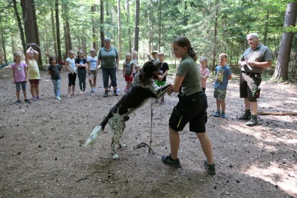 Wald 2 2025 28 600x400 - Waldtage 2/2025