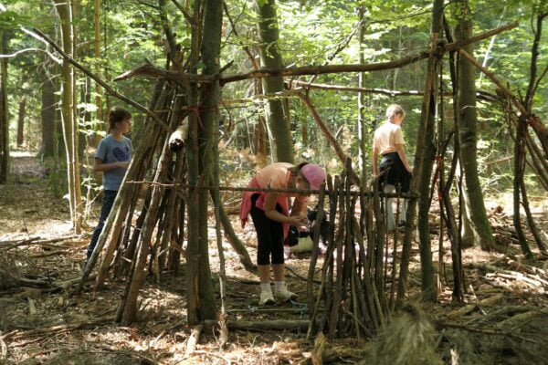Wald II 01 600x400 - Waldtage 2/2026