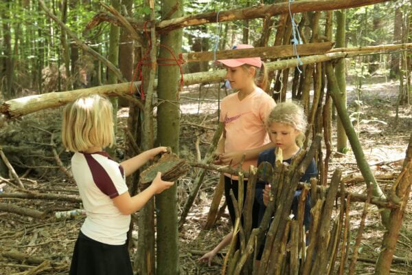 Wald II 02 600x400 - Waldtage 2/2026