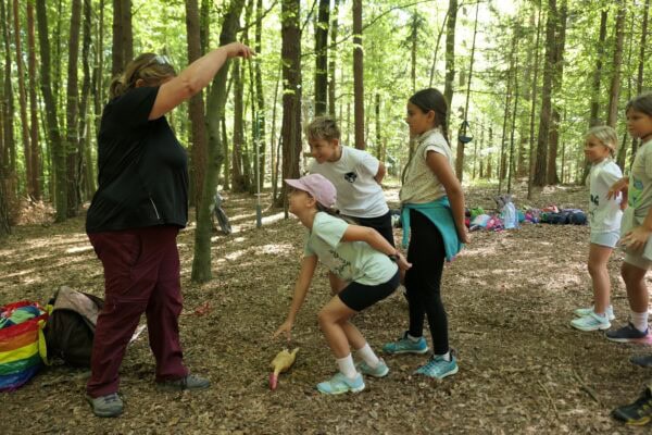 Wald II 03 600x400 - Waldtage 2/2026