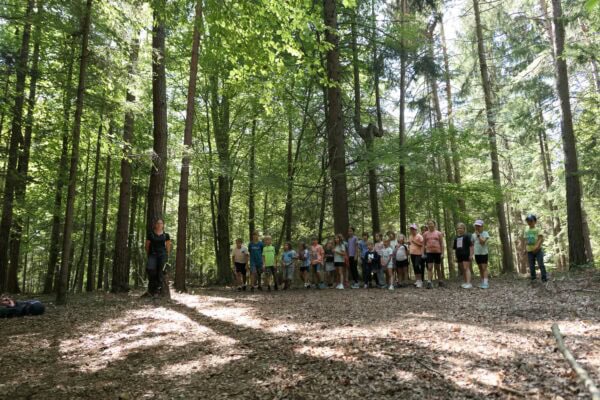 Wald II 05 600x400 - Waldtage 2/2026