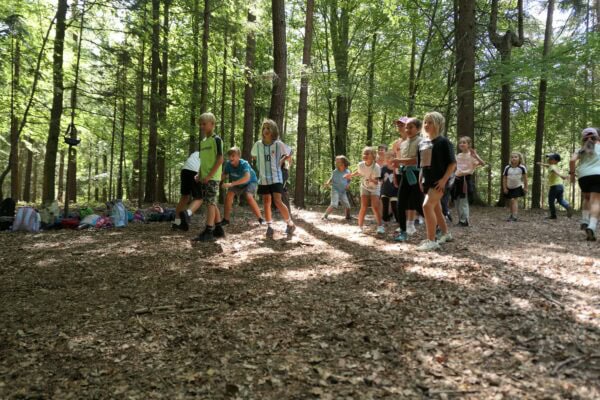 Wald II 06 600x400 - Waldtage 2/2026