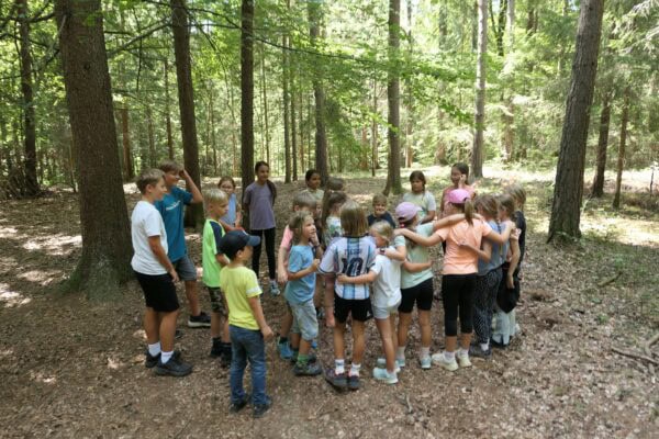 Wald II 07 600x400 - Waldtage 2/2026