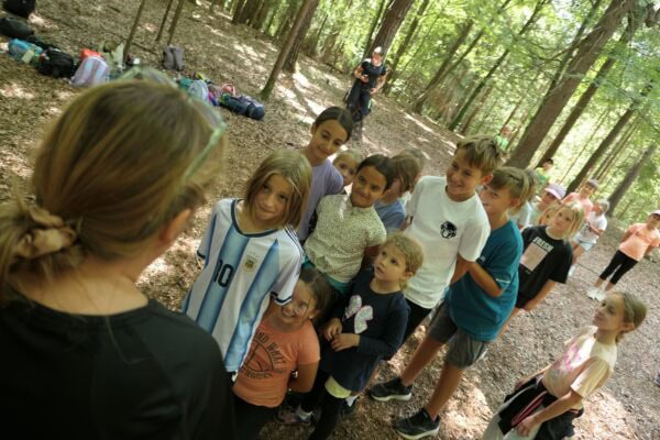 Wald II 08 600x400 - Waldtage 2/2026